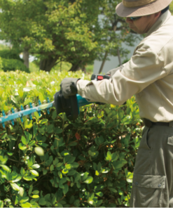 Taille Haie Makita DUH502SF 18V Une Batterie 3Ah Longueur De Coupe 50 Cm